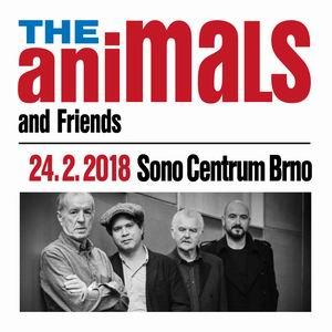 THE ANIMALS